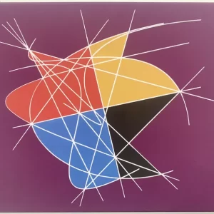 Cut Space Series # 56, 2010