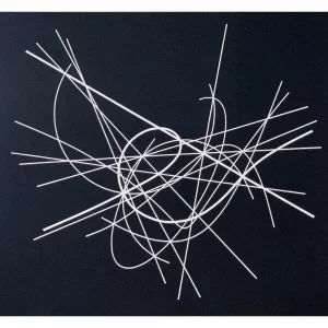 Osculating Ellipse, Black and White Series, II